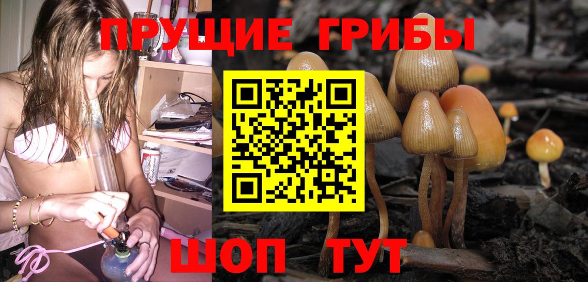 цены наркотик  Вход с VPN  Новодвинск  Галлюциногенные грибы мухоморы 