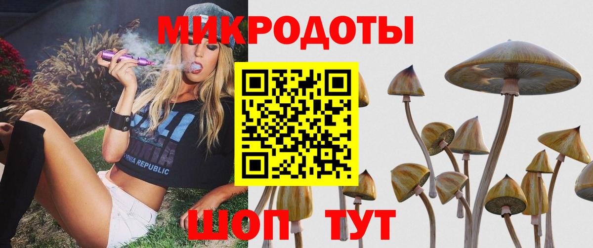 Галлюциногенные грибы мухоморы Новодвинск